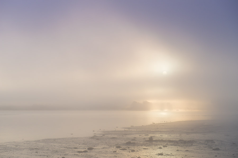 collection on Redbubble