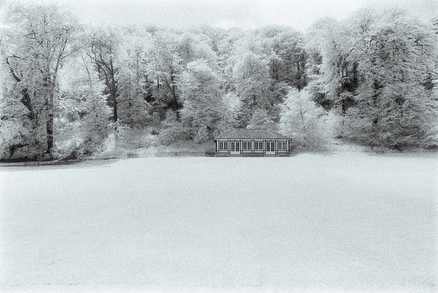 collection on Redbubble